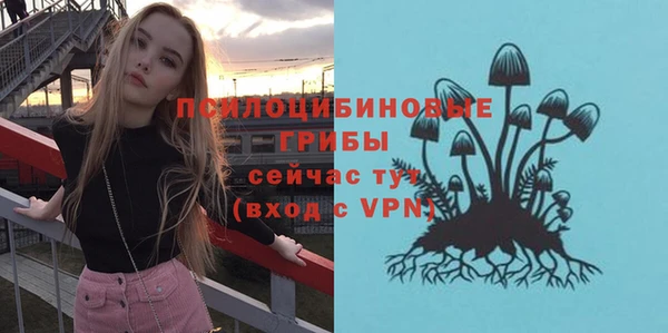 скорость Алексин