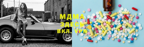 PSILOCYBIN Алзамай