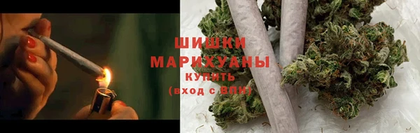 PSILOCYBIN Алзамай