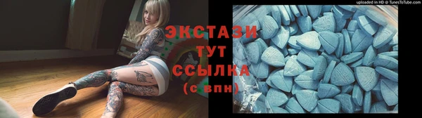 PSILOCYBIN Алзамай