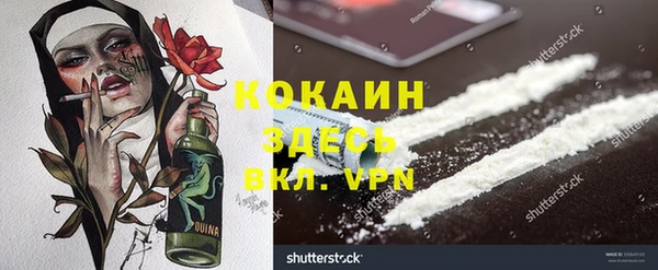 PSILOCYBIN Алзамай