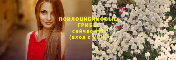 бошки Алексеевка