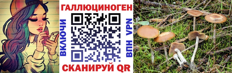 Псилоцибиновые грибы Magic Shrooms  Чёрмоз 